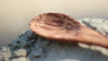 Wooden Coconut Spoons.